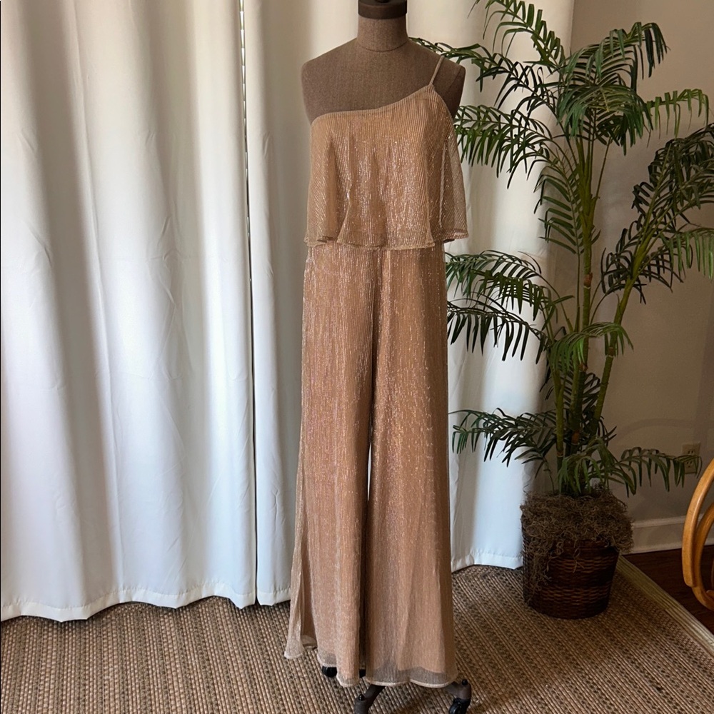 REVOLVE  Blazar Jumpsuit